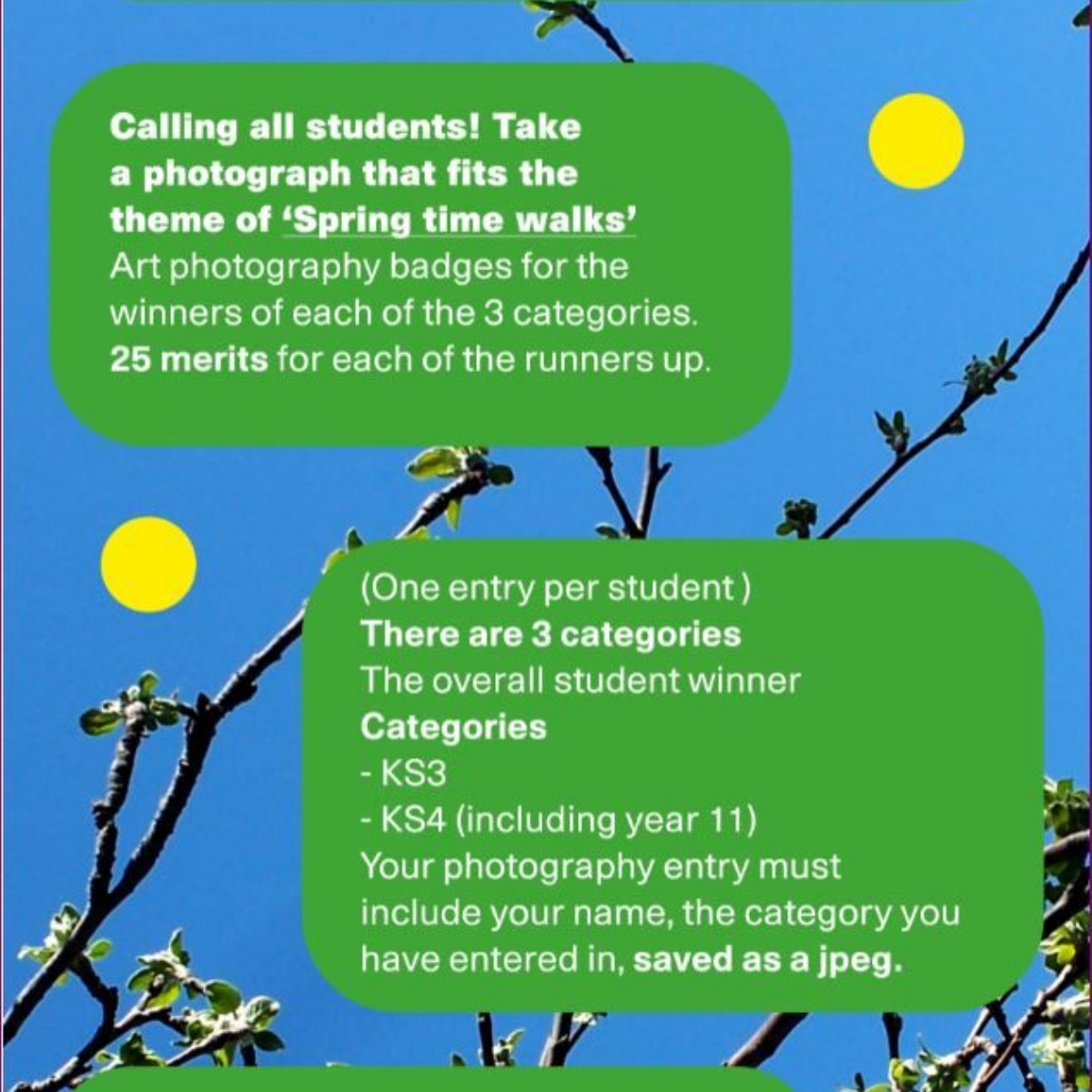 Worthing High School Art STEAM Photography Competition